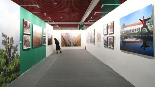 第十三届中国摄影艺术节展览 推精品出力作 燃 动天鹅之城