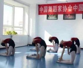 樱桃艺术培训中心加盟 加盟费用 招商代理条件 电话 中教招商网
