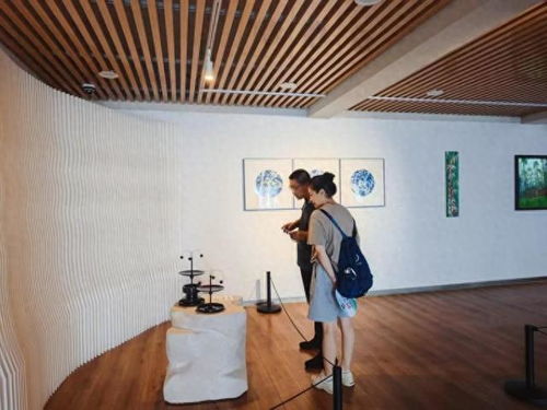紫竹院公园开新展 汇聚青年艺术家艺术精品