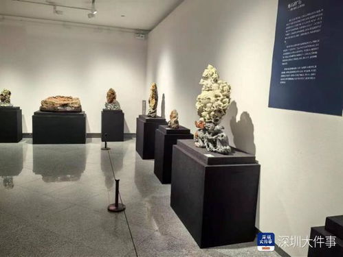 展现炼石艺术人生,徐伟军及青田县石雕厂作品展在深开展
