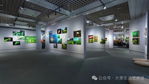云南艺术基金 生态摄影人才培训 作品成果展在昆开展