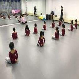天星艺术培训中心加盟 加盟费 招商代理条件 加盟电话 中国教育招商网