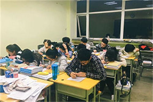 开封艺考培训学校哪家靠谱 诚信为本 河南河大艺考教育科技供应