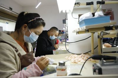 林口镇坪坝村--村里有了加工厂