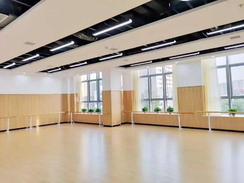 涿州市威尔谛艺术培训学校 美育,是一种刚需 2021新年系列音乐会 第十一场